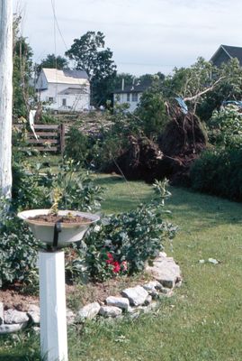 Tornado damage to Brighton, Ontario