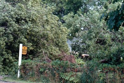 Tornado damage to Brighton, Ontario