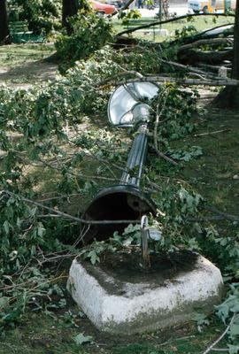 Tornado damage Brighton, Ontario