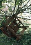 Tornado damage Brighton, Ontario