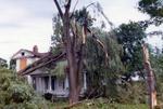 Tornado damage to 82 Main Street, Brighton, Ontario