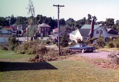 Tornado damage, looking southwest from Sanford Street across Platt Steet toward Main Street, Brighton, Ontario.