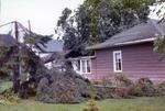 Tornado damage, Chapel and Meade streets, Brighton, Ontario