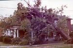 Tornado damage, 97 Main Street, Brighton, Ontario