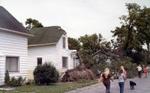 Tornado damage, 10 Chapel Street, Brighton, Ontario