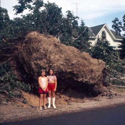 Two girls in front of an uprooted tree after the tornado hit Brighton, Ontario in July 1973