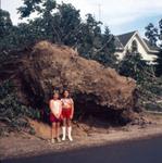 Two girls in front of an uprooted tree after the tornado hit Brighton, Ontario in July 1973