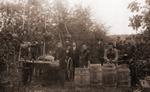 A group of men picking apples and packing them into barrels for shipment overseas.