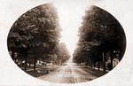 Main Street in Brighton, Ontario, Canada looking east on September 1, 1906