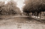 Lovely trees - looking east on Main Street, Brighton, Ontario, Canada circa 1916.