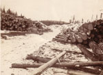 Logging in Burk's Falls