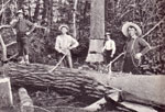 Loggers in Burk's Falls, circa 1910