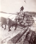 Horse-drawn Logging Sled at Marsden's, circa 1930