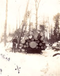 Logging at Marsden's, circa 1930