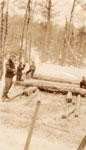Log Dump at Marsden's, circa 1930