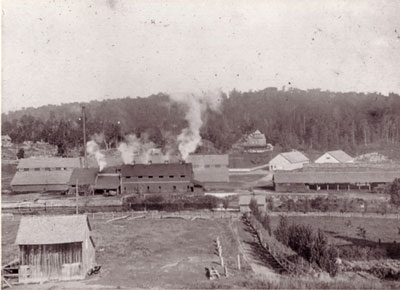 R. J. Watson's Tannery, circa 1918.