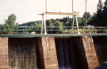 The Foot Bridge and Dam, Burk's Falls, circa 1978