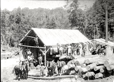 Constructing a Building at the Lumber Camp, circa 1920