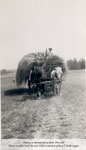 Haying on Norman Borne's Farm, circa 1920