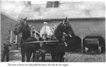 Horse Team Pulling a Funerary Cart, circa 1910