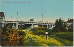 New Victoria Bridge (Market Street Bridge)