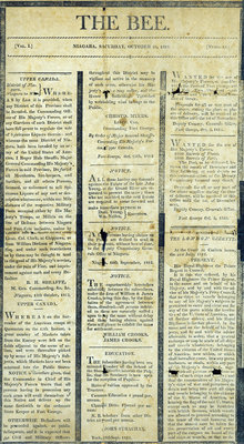 The Bee Newspaper, Vol. I, No. 13