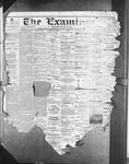 Barrie Examiner, 13 Mar 1879