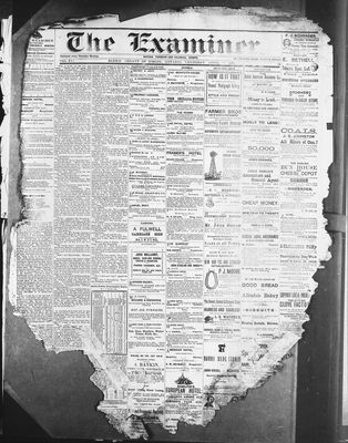 Barrie Examiner, 10 Apr 1879