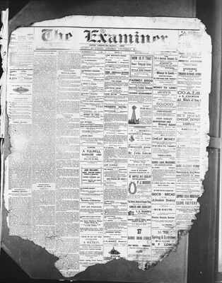 Barrie Examiner, 1 May 1879