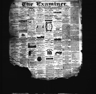 Barrie Examiner, 25 Dec 1879