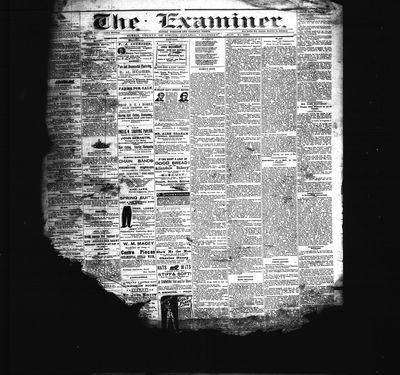 Barrie Examiner, 25 Mar 1880