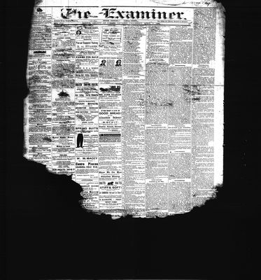 Barrie Examiner, 15 Apr 1880