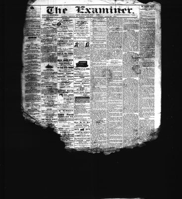 Barrie Examiner, 29 Apr 1880