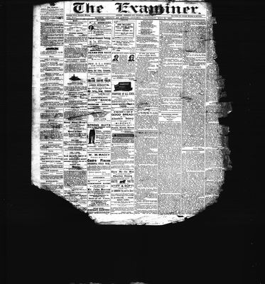 Barrie Examiner, 13 May 1880