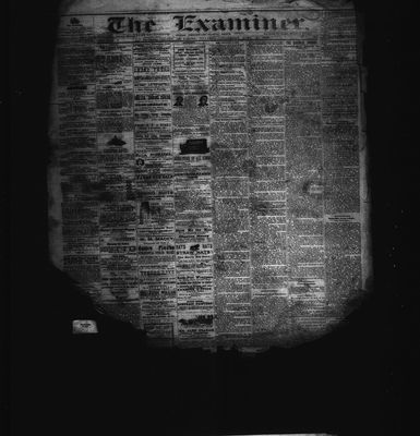 Barrie Examiner, 17 Jun 1880