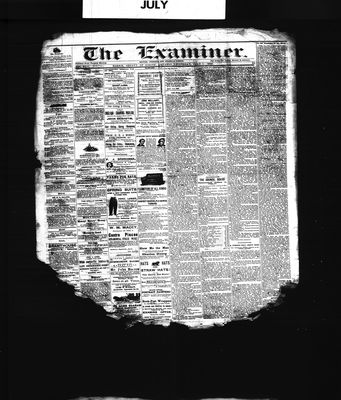 Barrie Examiner, 1 Jul 1880