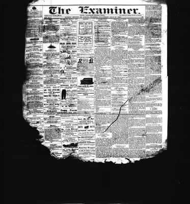 Barrie Examiner, 8 Jul 1880