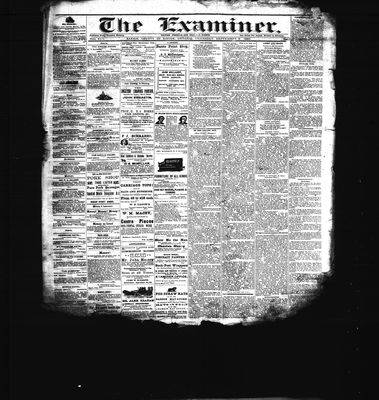 Barrie Examiner, 9 Sep 1880