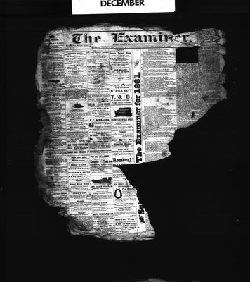 Barrie Examiner, 2 Dec 1880