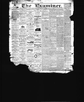 Barrie Examiner, 27 Jan 1881