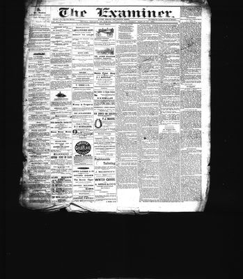 Barrie Examiner, 10 Mar 1881