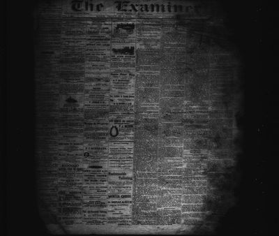 Barrie Examiner, 14 Apr 1881