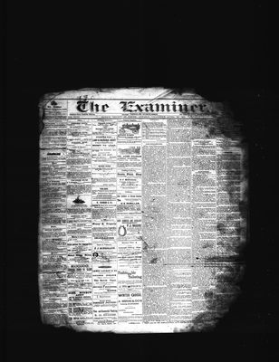 Barrie Examiner, 21 Apr 1881