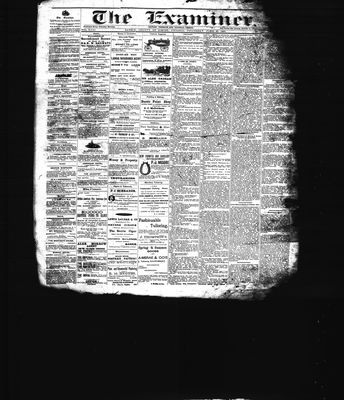 Barrie Examiner, 9 Jun 1881