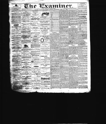 Barrie Examiner, 23 Jun 1881