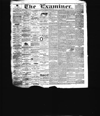 Barrie Examiner, 30 Jun 1881