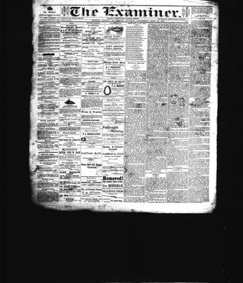 Barrie Examiner, 14 Jul 1881