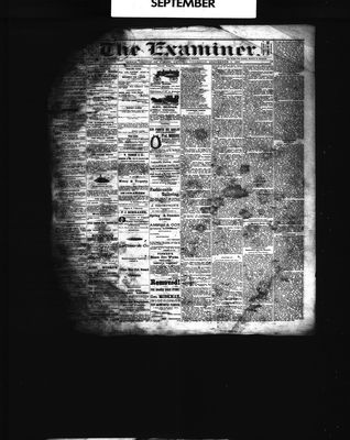 Barrie Examiner, 1 Sep 1881