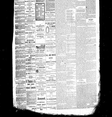 Barrie Examiner, 2 Feb 1882