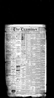 Barrie Examiner, 20 Jul 1882